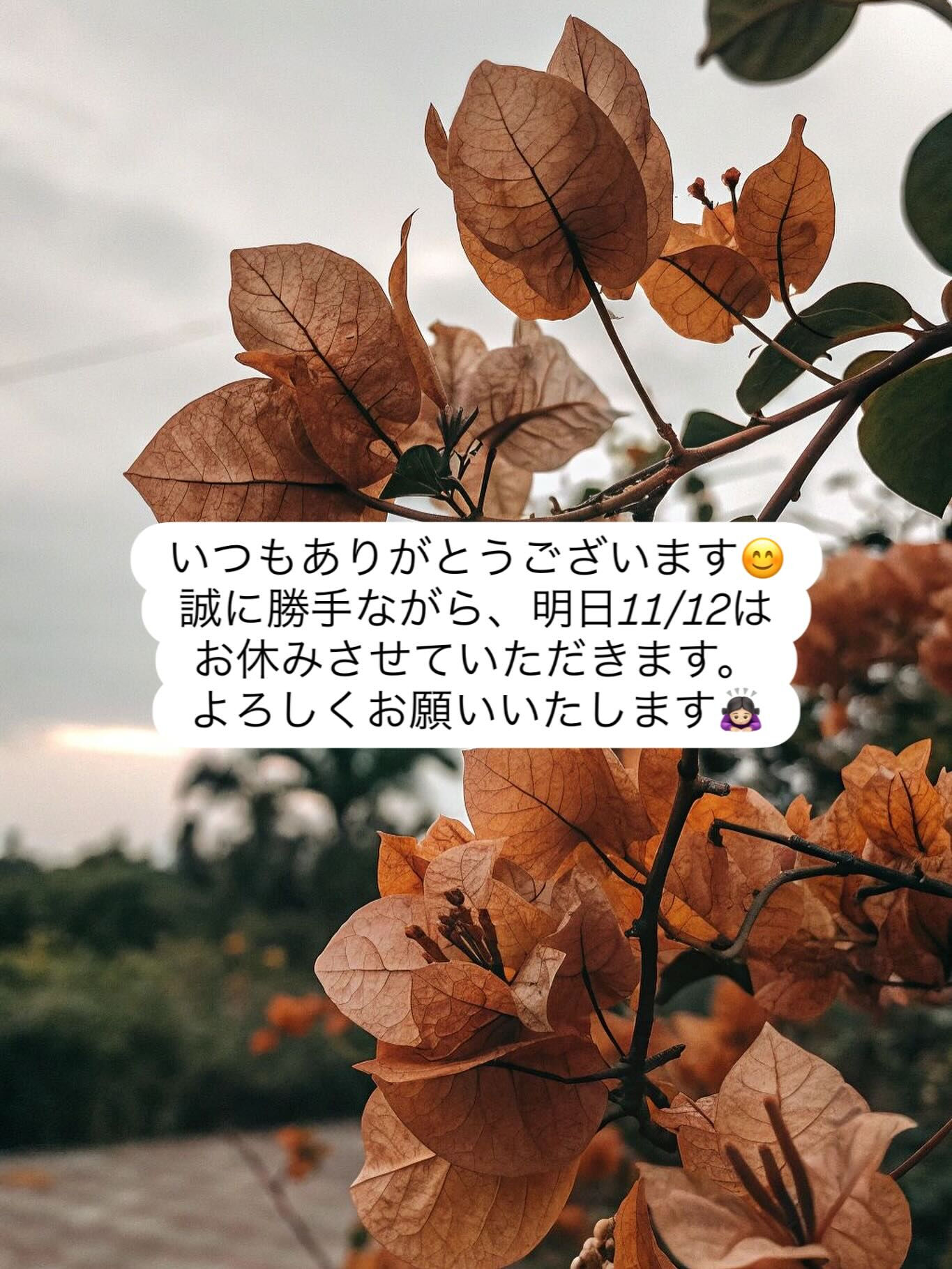 いつもありがとうございます😊