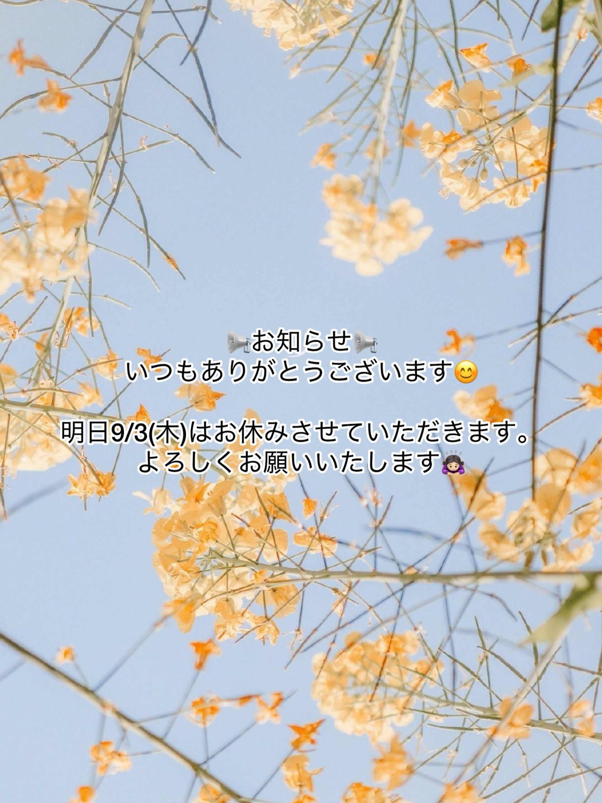 📢お知らせ📢