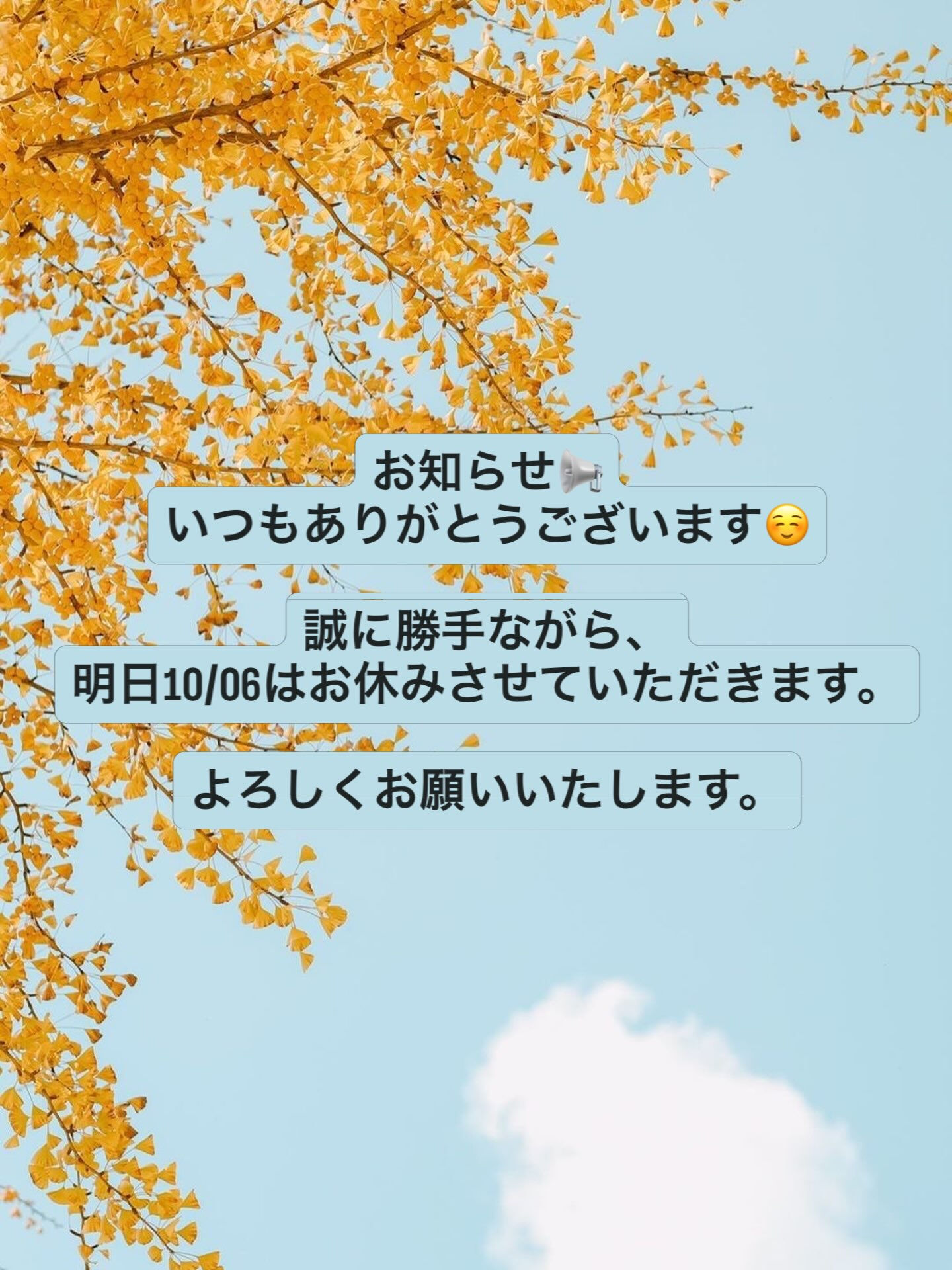 お知らせ📢